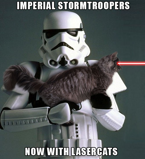storm-troopers-cat-laser.jpg?w=529
